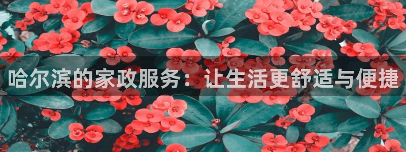 杏悦是什么平台
