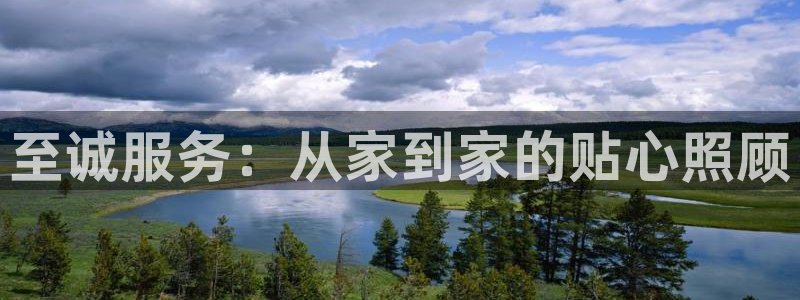 杏悦平台如何注册账号