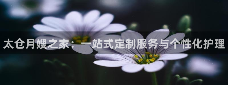 杏悦平台登录网址是什么