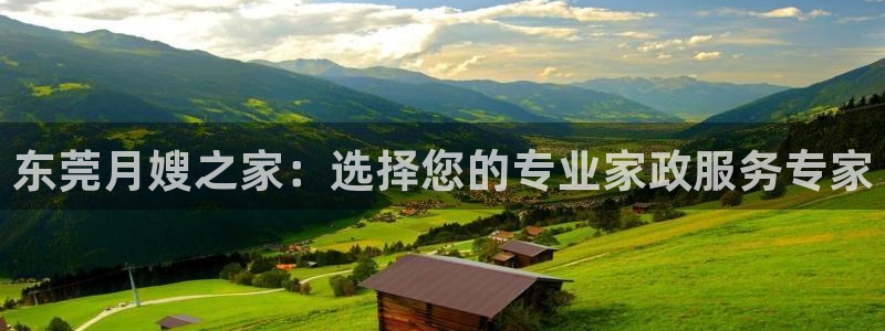 杏悦t首选推荐平台