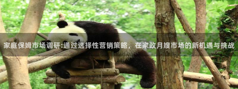 杏悦平台登录网址