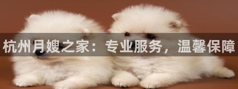 杏悦官网登录入口网址是什么