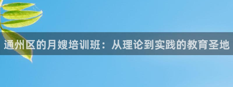 杏悦平台登录入口官网