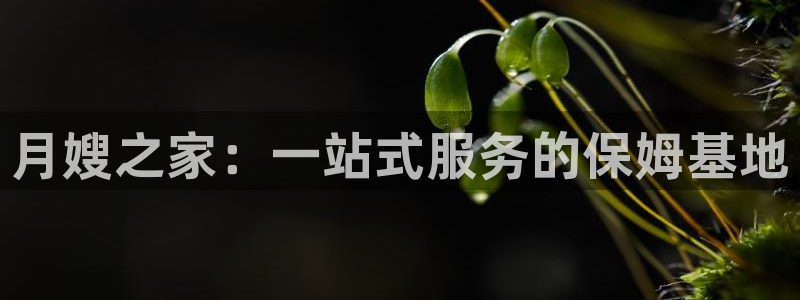 杏悦平台注册地址是哪里