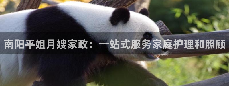 杏悦平台线路测速