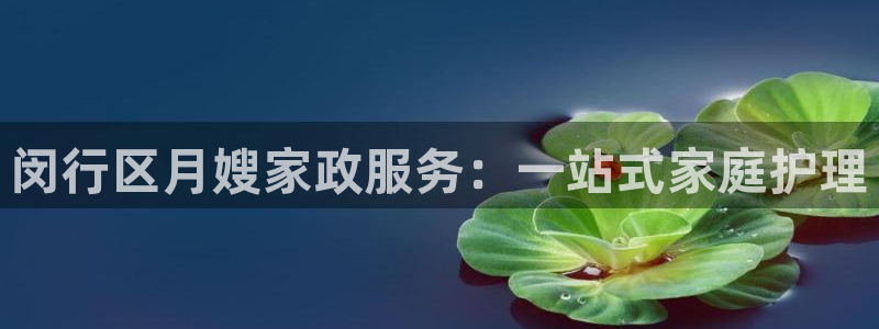 杏悦娱乐注册平台