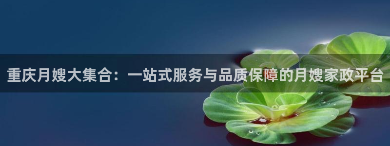 杏悦平台代理怎么赚钱