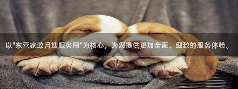 杏悦官网注册信息在哪里查看