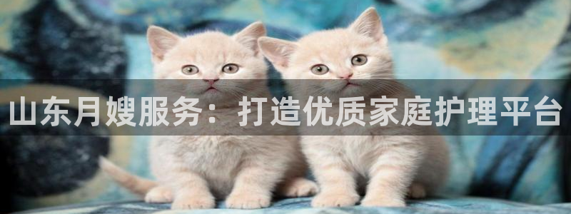 杏悦平台可靠吗是真的吗