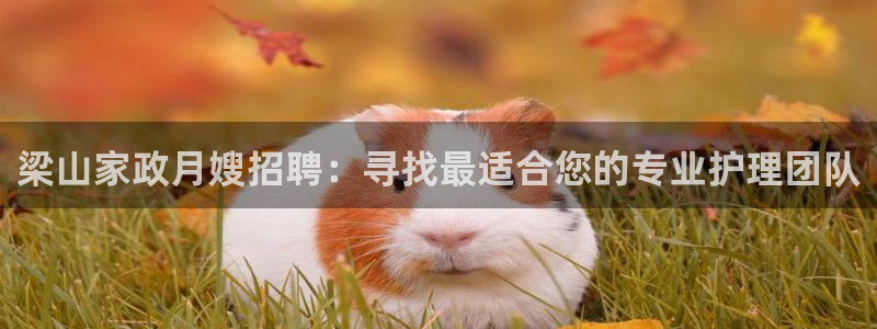 杏悦平台代理注册多少钱