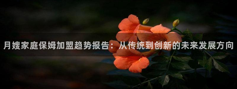 杏悦平台代理怎么赚钱的