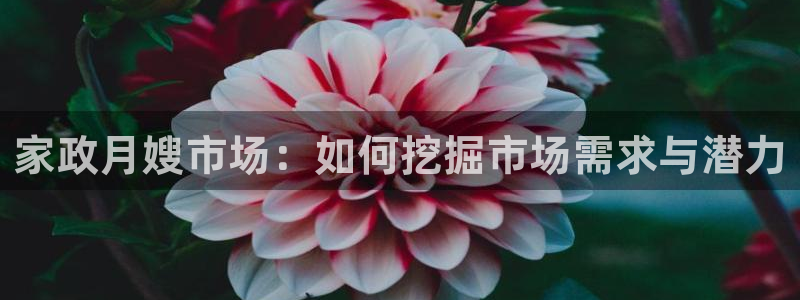 杏悦平台开户地址是什么