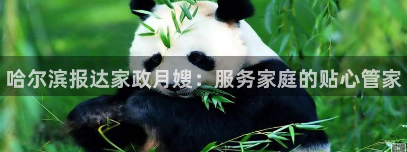 杏悦平台登录网址是什么