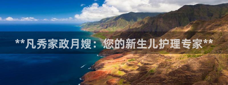 杏悦是什么平台