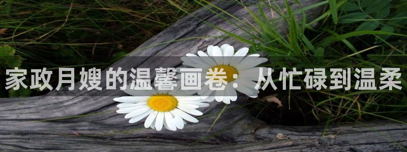 杏悦官方平台官网