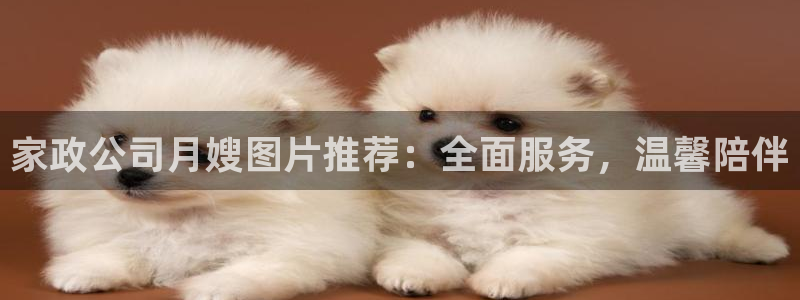 杏悦平台登录地址在哪里