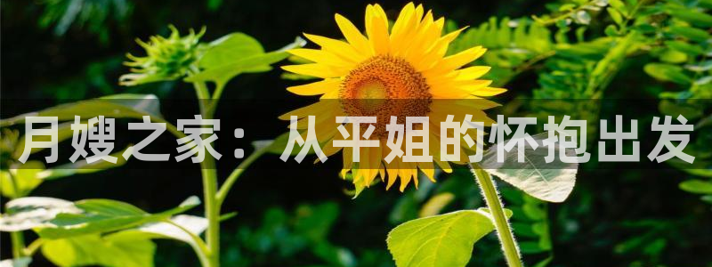 杏悦平台代理怎么赚钱