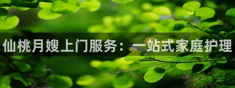 杏悦平台登录网址