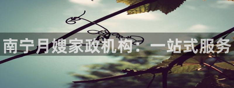 杏悦官方平台官网