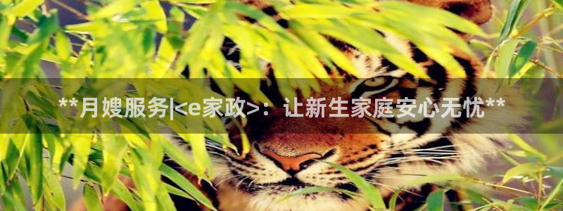 杏悦官方平台是正品吗知乎