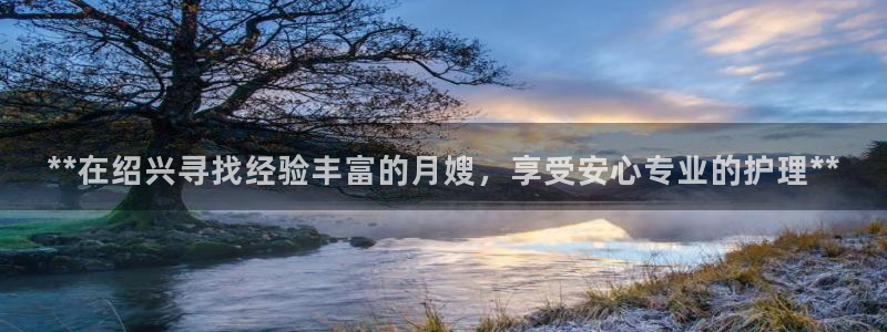 杏悦是什么平台