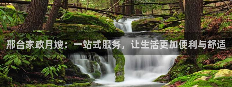 杏悦平台招商电话