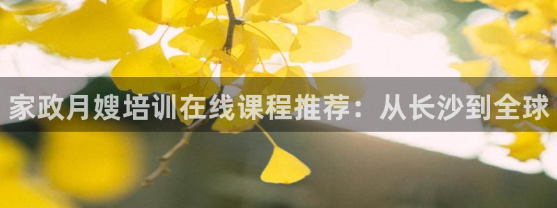 杏悦登录网址是什么