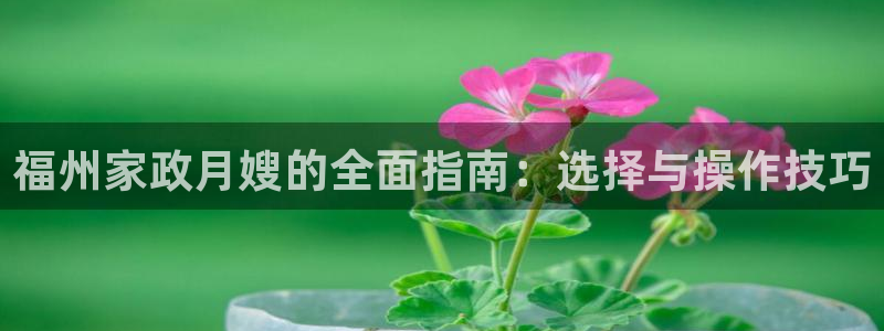 杏悦平台登录地址是什么