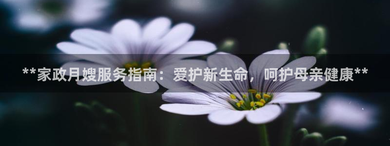 杏悦娱乐注册平台